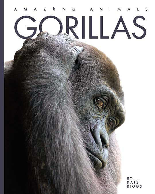 Amazing Animals (2022): Gorillas by The Creative Company Shop