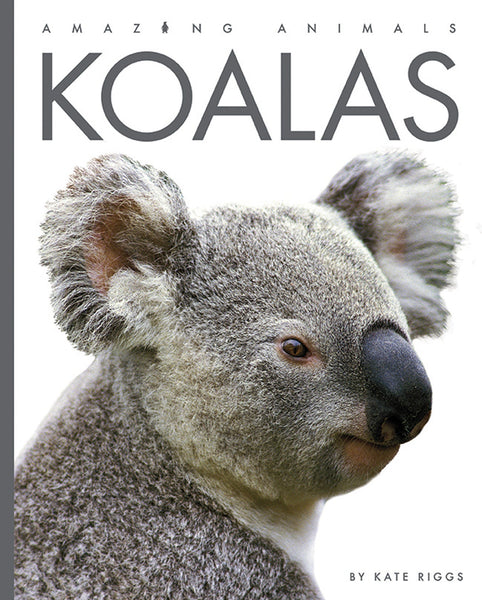 Amazing Animals (2022): Koalas by The Creative Company Shop