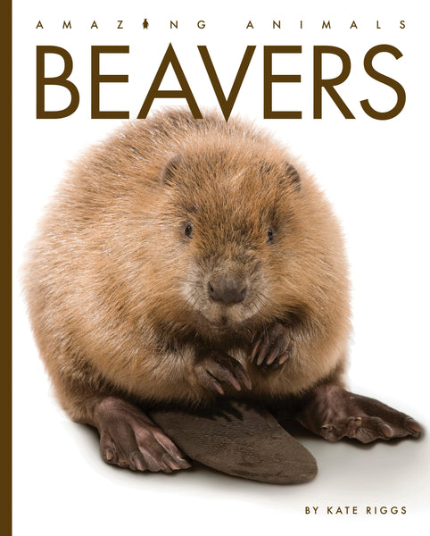 Amazing Animals (2022): Beavers by The Creative Company Shop