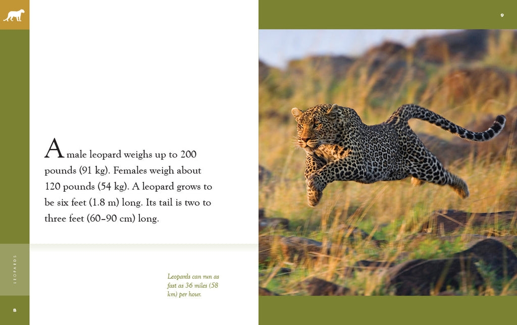 Amazing Animals (2022): Leopards by The Creative Company Shop