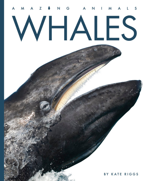 Amazing Animals (2022): Whales by The Creative Company Shop