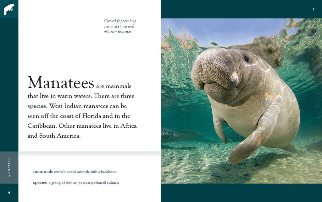 Amazing Animals (2022): Manatees by The Creative Company Shop