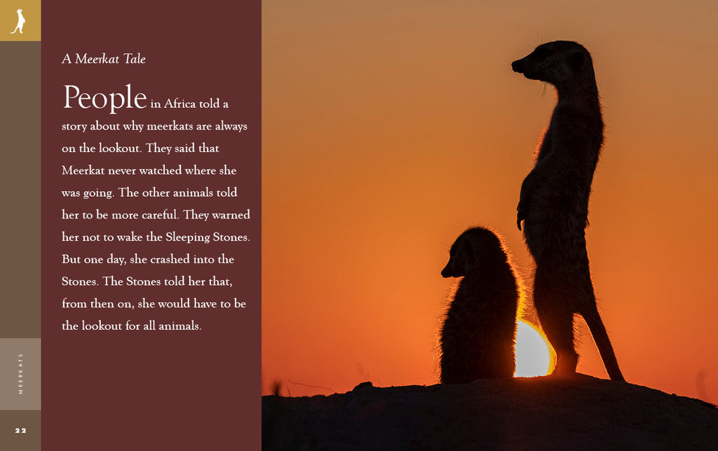 Amazing Animals (2022): Meerkats by The Creative Company Shop