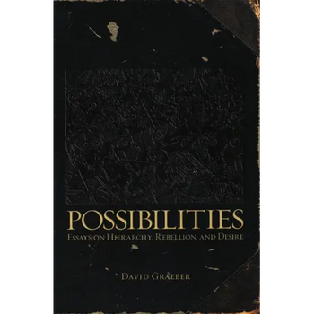 Possibilities: Essays on Hierarchy, Rebellion, and Desire