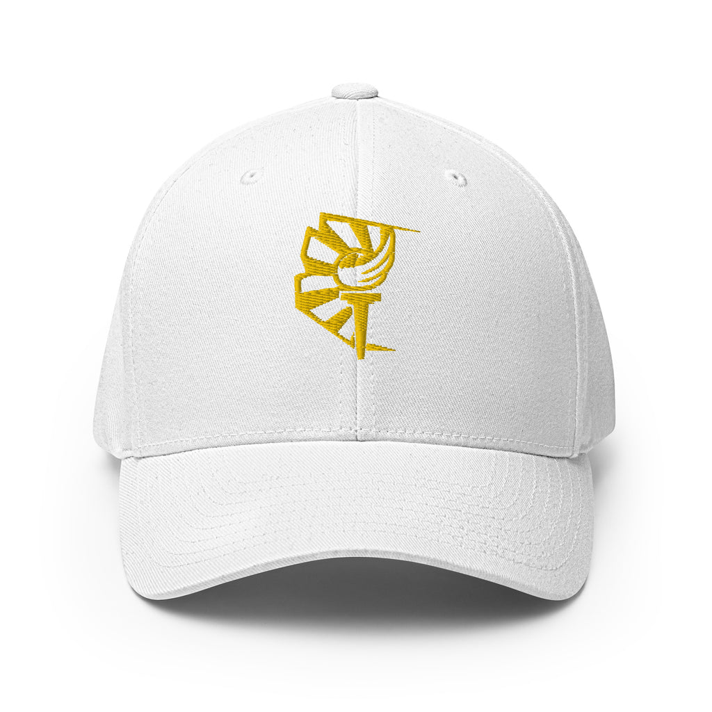 Arizona Libertarian Party Structured Twill Cap