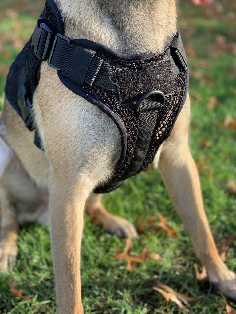 Artemis Dog Harness - No Pull No Tug No Choke Adjustable Breathable K-9 by 221B Tactical - Proud Libertarian - 221B Tactical